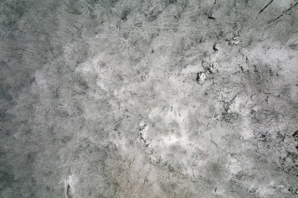 Paisagem Nebulosa Aérea Com Pinheiros Sempre Verdes Cobertos Com Neve — Fotografia de Stock