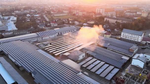 緑の生態系電気を生成するための産業用建物の屋根の上にマウントされている青い太陽光発電パネルの空中ビュー 持続可能なエネルギー概念の生産 — ストック動画