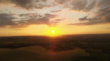 Canlı bir yaz akşamında olgun buğdayla ekili sarı tarım arazisinin havadan manzarası..