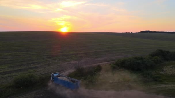 Widok Lotu Ptaka Ciężarówki Przewożącej Ładunki Między Polami Pszenicy Rolniczej — Wideo stockowe