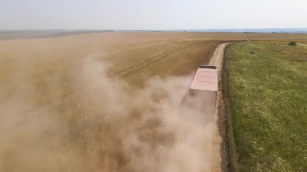 Widok Lotu Ptaka Ciężarówki Przewożącej Ładunki Między Polami Pszenicy Rolniczej — Wideo stockowe