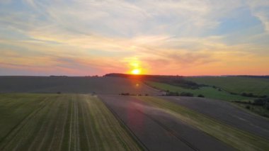 Buğday tarlasında hasat mevsiminde çalışan hasat makinesinin hava görüntüsü. Tarım kavramı.