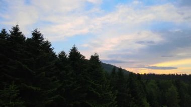 Gün batımında dağ tepelerini kaplayan koyu ladin ağaçlı yeşil çam ormanlarının hava manzarası. Yukarıdan orman manzarası yok.
