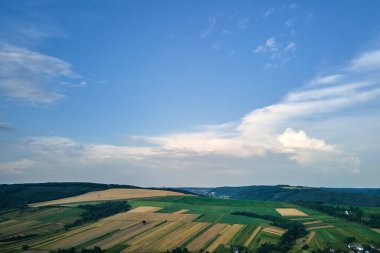 Açık mavi gökyüzünün açık hava manzarası yeşil ekili tarlalar, büyüyen ekinler ve parlak yaz gününde uzak ormanlık alanlar..