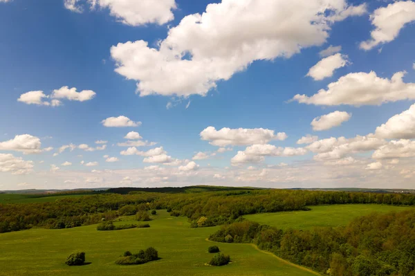 Vzdušná Krajina Pohled Zeleně Obdělávaná Zemědělská Pole Rostoucí Plodiny Jasný — Stock fotografie