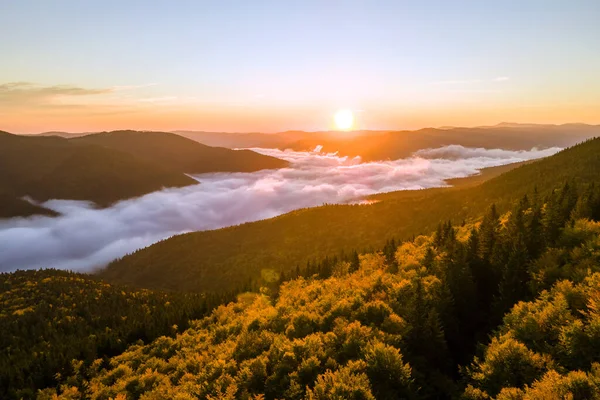 Sonbahar gündoğumunda sisli, karanlık dağ ormanlarının çam ağaçlarının olduğu muhteşem manzaranın havadan görüntüsü. Şafak vakti ışıldayan ışıklarıyla güzel vahşi ormanlık.