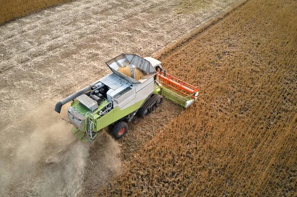 Aerial View Combine Harvester Working Harvesting Season Large Ripe Wheat — Stock Photo, Image
