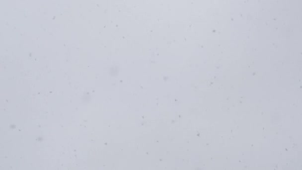 Abstract Beeld Van Vallende Sneeuwvlokken Tegen Grijze Bewolkte Lucht Winterdag — Stockvideo