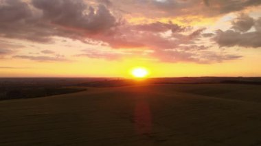 Canlı bir yaz akşamında olgun buğdayla ekili sarı tarım arazisinin havadan manzarası..