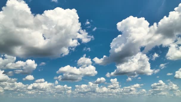 Nubes Cúmulos Hinchados Blancos Cielo Azul Verano Panorámica Del Clima — Vídeos de Stock