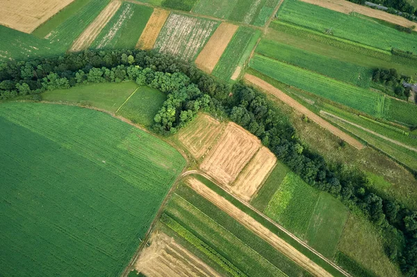 明るい夏の日に作物を栽培している緑と黄色の栽培農業分野の空中風景ビュー — ストック写真