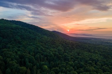 Gün batımında dağ tepelerini kaplayan koyu ladin ağaçlı yeşil çam ormanlarının hava manzarası. Yukarıdan orman manzarası yok.