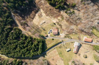 Küresel ormansızlaşma endüstrisinin sonucu olarak kesilen ağaçlardan oluşan geniş bir alana sahip çam ormanının havadan görünüşü. Dünya ekolojisi üzerinde zararlı insan etkisi.