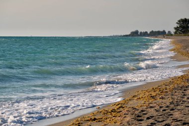 Kıyıya vuran köpüklü dalgalarla sahil kıyısı..