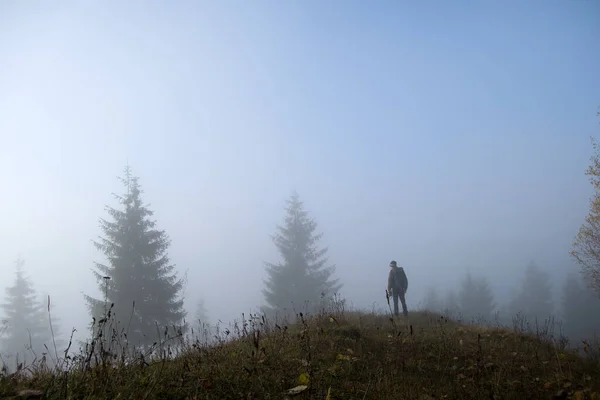 Small Figure Lonely Hiker Enjoying His Time Wild Forest Trail — стоковое фото