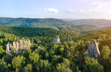 Yeşil orman ağaçları ve sık ağaçlar arasında büyük kayalık kayaların olduğu parlak manzaranın havadan görünüşü. Vahşi ormanın güzel manzarası.