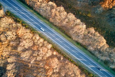 Günbatımında güz ormanı ağaçları arasında hızlı giden arabalarla şehirlerarası yol manzarası. Akşamları otoban trafiğinin insansız hava aracı görüntüsü.