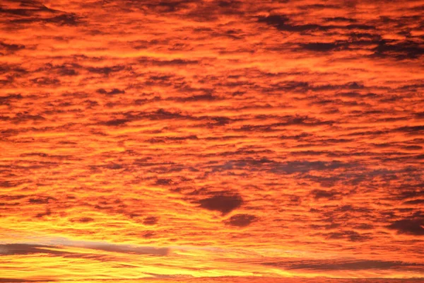 Bright Colorful Sunset Sky Vivid Smooth Clouds Illuminated Setting Sun — Stock Photo, Image