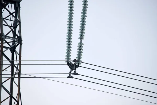 Sznurek Izolacyjny Wysokiego Napięcia Słupie Stalowym Liniami Elektroenergetycznymi Dla Bezpiecznego — Zdjęcie stockowe