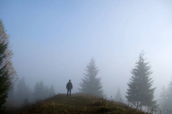 Small Figure Lonely Hiker Enjoying His Time Wild Forest Trail — стоковое фото