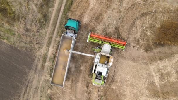 Aerial View Combine Harvester Unloading Grain Cargo Trailer Working Harvesting — Vídeo de Stock