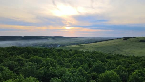 Vue Aérienne Forêt Luxuriante Vert Foncé Avec Des Arbres Denses — Video