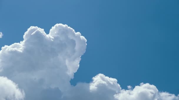 Timelapse Nuvens Cumulus Inchadas Brancas Formando Céu Azul Verão Mudando — Vídeo de Stock