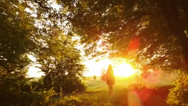 Vista Posterior Silueta Mujer Joven Caminando Sola Través Bosques Oscuros — Vídeos de Stock