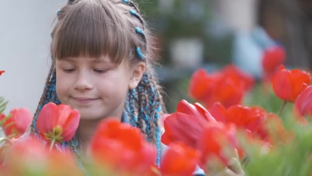 Menina Feliz Brincando Jardim Verão Desfrutando Doce Aroma Flores Tulipa — Vídeo de Stock