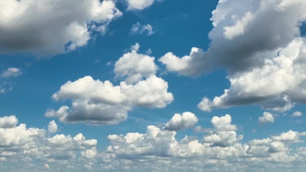 Nuvens Cúmulo Inchadas Brancas Céu Azul Verão Panning Tiro Tempo — Vídeo de Stock