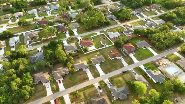 Αεροφωτογραφία Τοπίο Των Προαστιακών Ιδιωτικών Κατοικιών Μεταξύ Πράσινο Φοίνικες Στη — Αρχείο Βίντεο