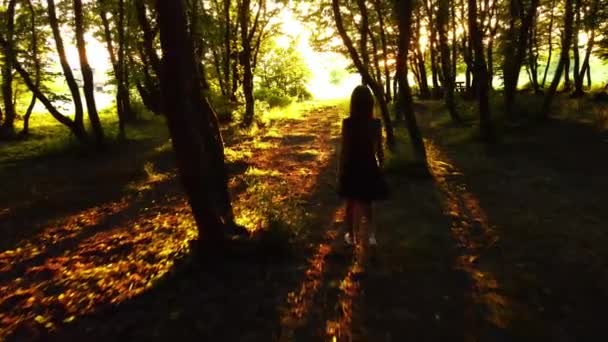 明るい日没で暗い森の中を単独で歩く若い女性のリアビュー 自然探検の概念 — ストック動画