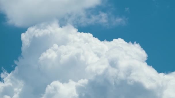 Timelapse Biały Puszysty Cumulus Chmury Tworzące Letnim Błękitnym Niebie Poruszająca — Wideo stockowe