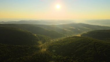 Parlak yaz günbatımında karanlık orman ağaçları üzerinde canlı sisli bir akşam. Alacakaranlıkta vahşi ormanın inanılmaz manzarası.