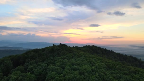 Gün Batımında Dağ Tepelerini Kaplayan Koyu Ladin Ağaçlı Yeşil Çam — Stok video