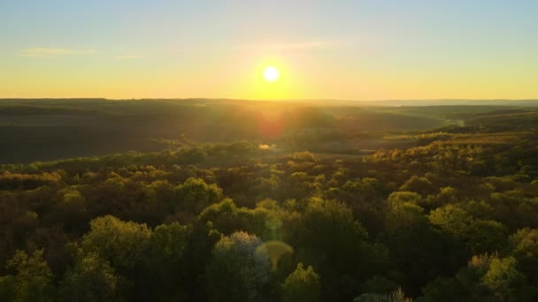 Letecký Pohled Lesy Čerstvými Zelenými Stromy Začátku Jara Při Západu — Stock video