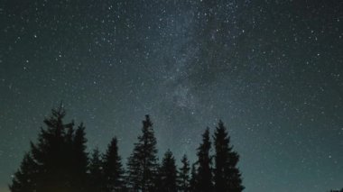 Parlak yıldızlı gece gökyüzü ve karanlık çam ormanları üzerinde Samanyolu Galaksisi.