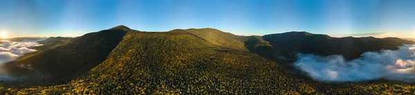 Αεροφωτογραφία Της Πλαγιά Του Λόφου Σκούρα Έλατο Δέντρα Δάσος Φθινόπωρο — Φωτογραφία Αρχείου