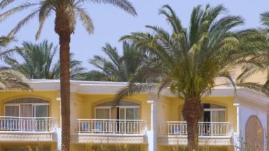 Yeşil hindistan cevizi palmiyeleri rüzgarda sallanıyor tropikal sahilde mavi gökyüzüne ve otel binalarına karşı. Yaz tatili kavramı.
