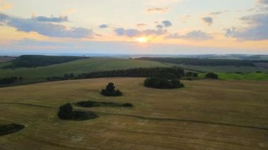 Sarı ekili tarla manzarası açık yaz gününde olgunlaşmış buğdayla birlikte..