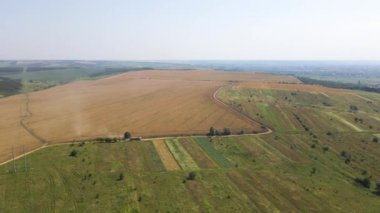 Tarımsal buğday tarlaları arasında toprak yolda giden kamyon görüntüsü. Hasat mevsiminde hasatçıların topladığı tahıl naklinden sonra..