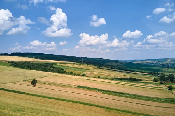 Vzdušná Krajina Pohled Zelené Žluté Obdělávané Zemědělské Pole Rostoucí Plodiny — Stock fotografie