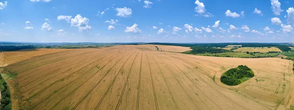 Vista Aérea Del Paisaje Del Campo Agrícola Cultivado Amarillo Con —  Fotos de Stock