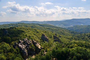 Yeşil orman ağaçları ve sık ağaçlar arasında büyük kayalık kayaların olduğu parlak manzaranın havadan görünüşü. Vahşi ormanın güzel manzarası.