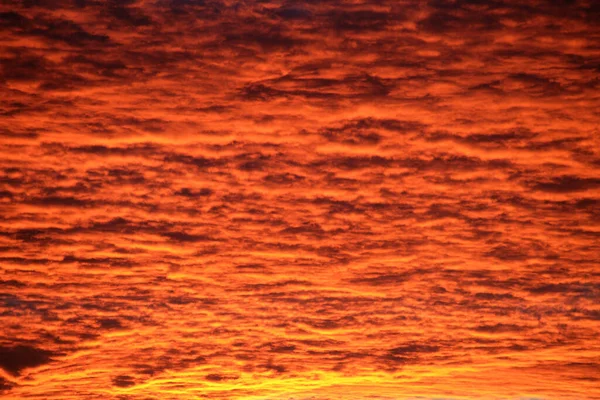 Cielo Colorido Brillante Del Atardecer Con Las Nubes Lisas Vivas — Foto de Stock