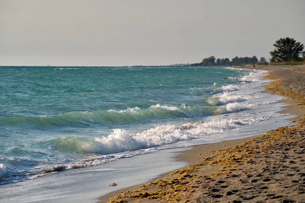 Kıyıya vuran köpüklü dalgalarla sahil kıyısı..