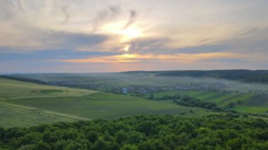 Yazın sık ağaçlarla kaplı koyu yeşil yemyeşil orman manzarası.