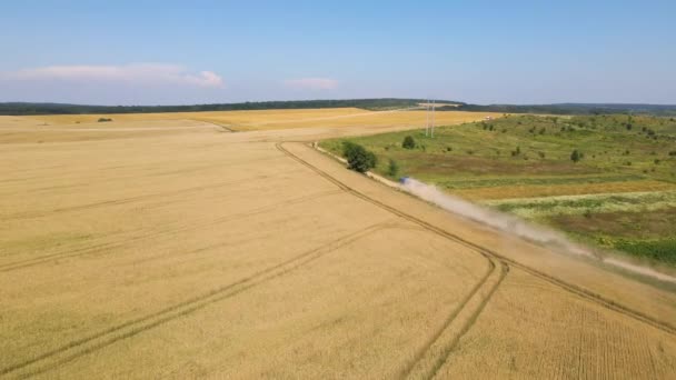 Tarımsal Buğday Tarlaları Arasında Toprak Yolda Giden Kamyon Görüntüsü Hasat — Stok video