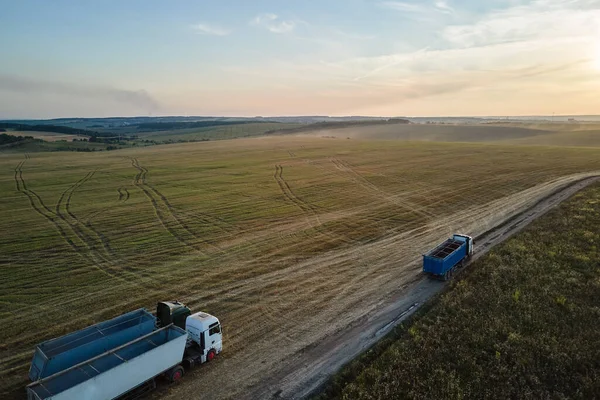 Aerial view of cargo truck driving on dirt road between agricultural wheat fields making lot of dust. Transportation of grain after being harvested by combine harvester during harvesting season.