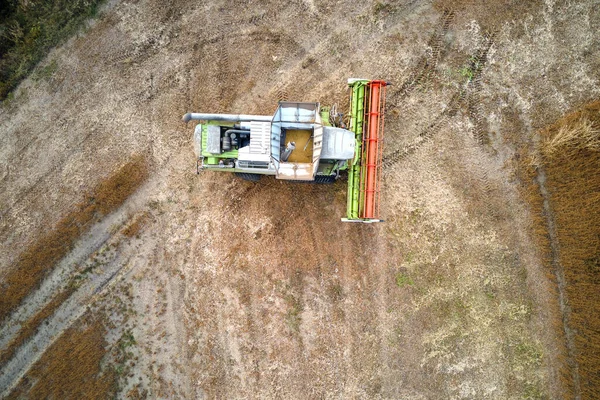 Vue Aérienne Moissonneuse Batteuse Travaillant Pendant Saison Récolte Sur Grand — Photo